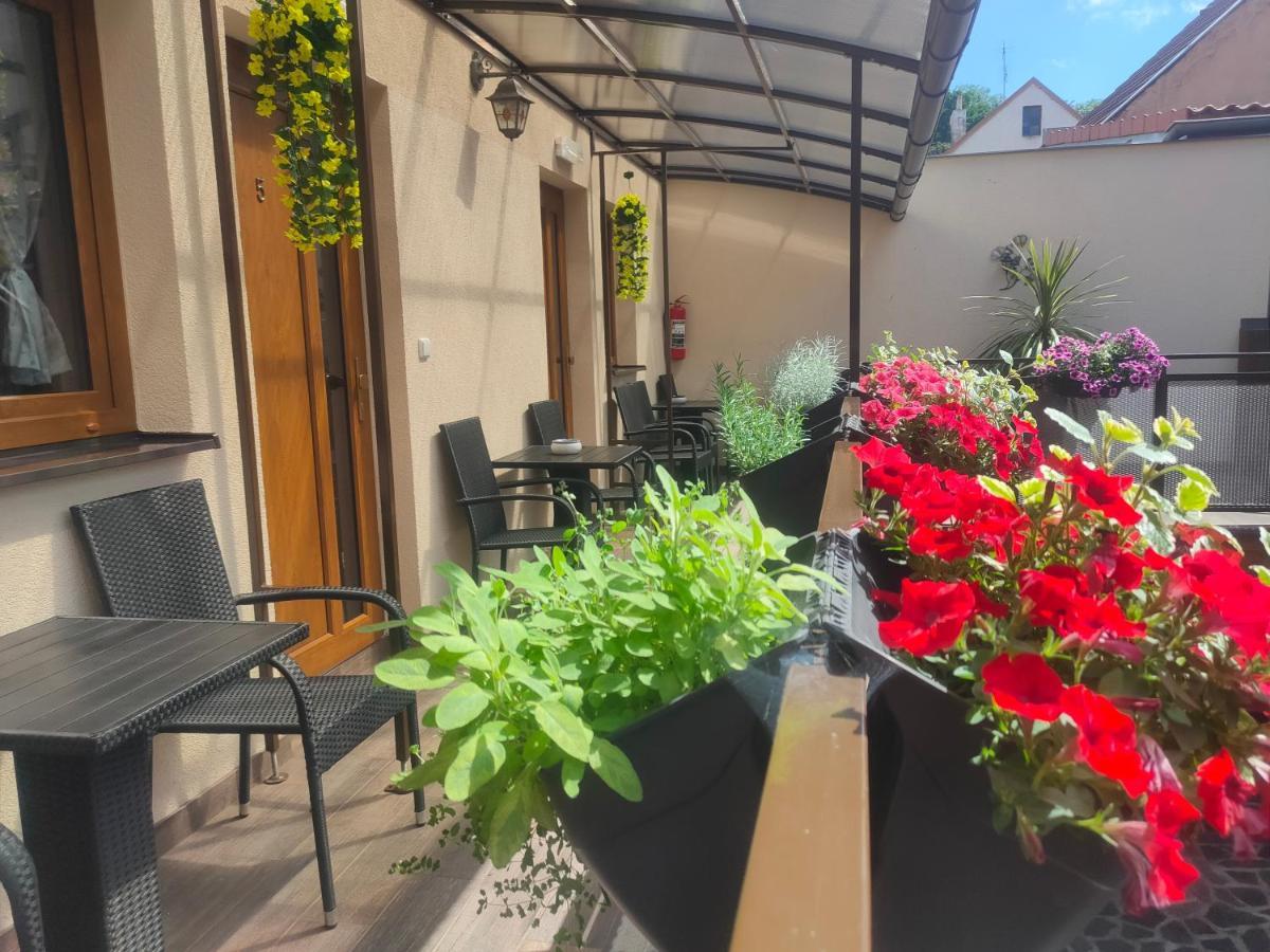 Apartmany Aranka Žatec Extérieur photo